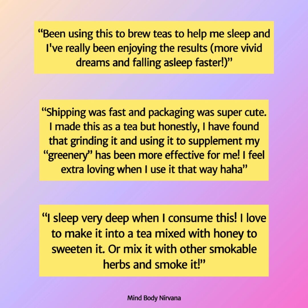 Egyptian Blue Lotus - Image 4