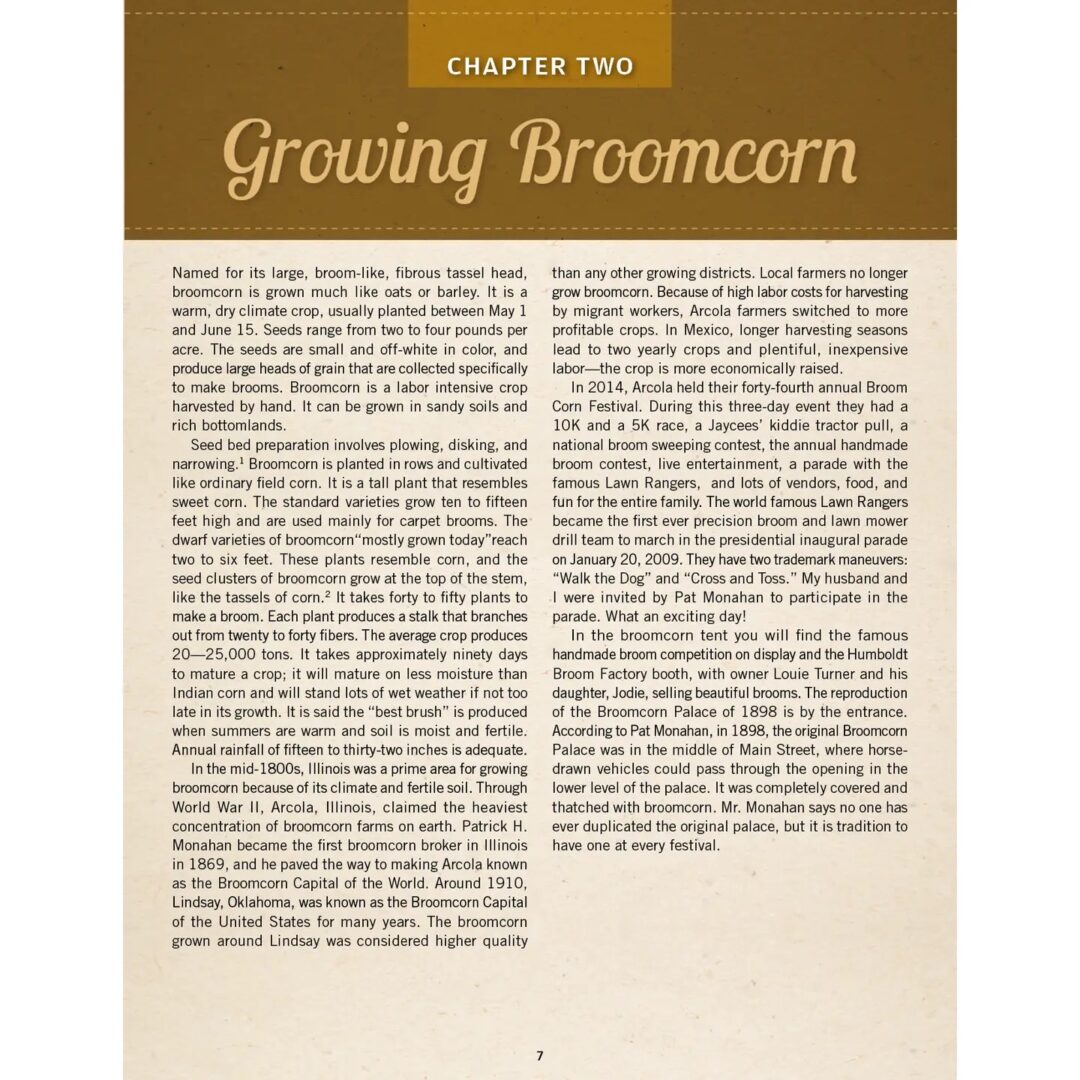 Swept Away: the Vanishing Art of Broom Making - Image 2