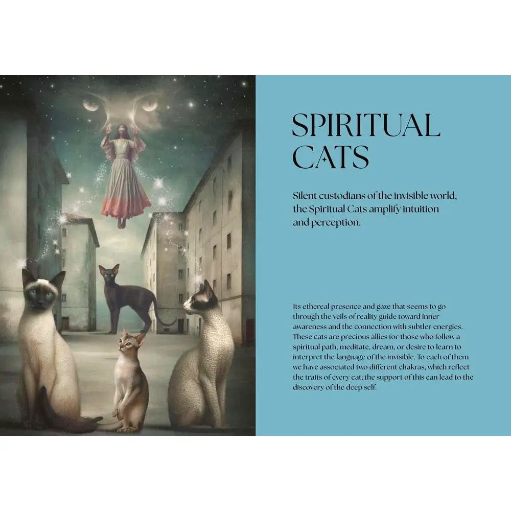 Cats, A Mystical Guide - Image 2