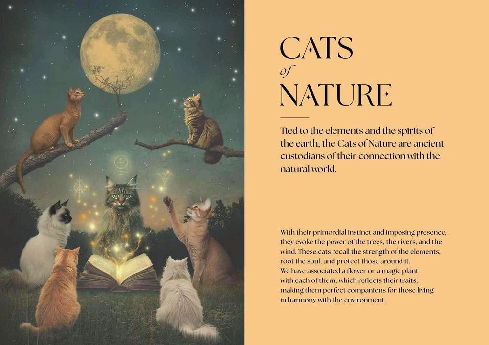 Cats, A Mystical Guide - Image 3